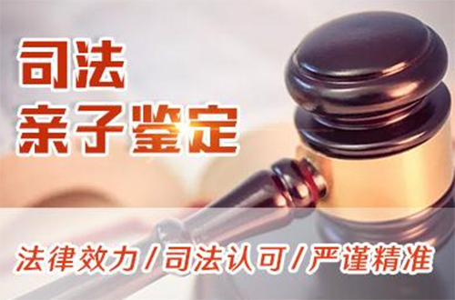 杭州司法亲子鉴定具体流程,