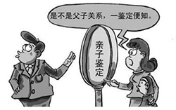 杭州亲子鉴定在哪里，杭州DNA鉴定收费标准是多少
